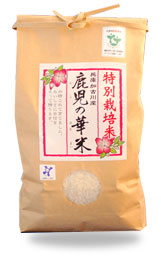 ししこ新米ヒノヒカリ① ギフト】 まとめ買い】 大阪府 玄米29kg きぬむすめ 令和6年度産